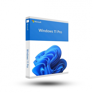Win Pro 11 64Bit Eng Intl 1pk DSP OEI DVD